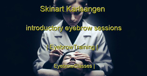 Skinart Karlsangen introductory eyebrow sessions | EyebrowTraining | EyebrowClasses | SkinartTraining-Sweden